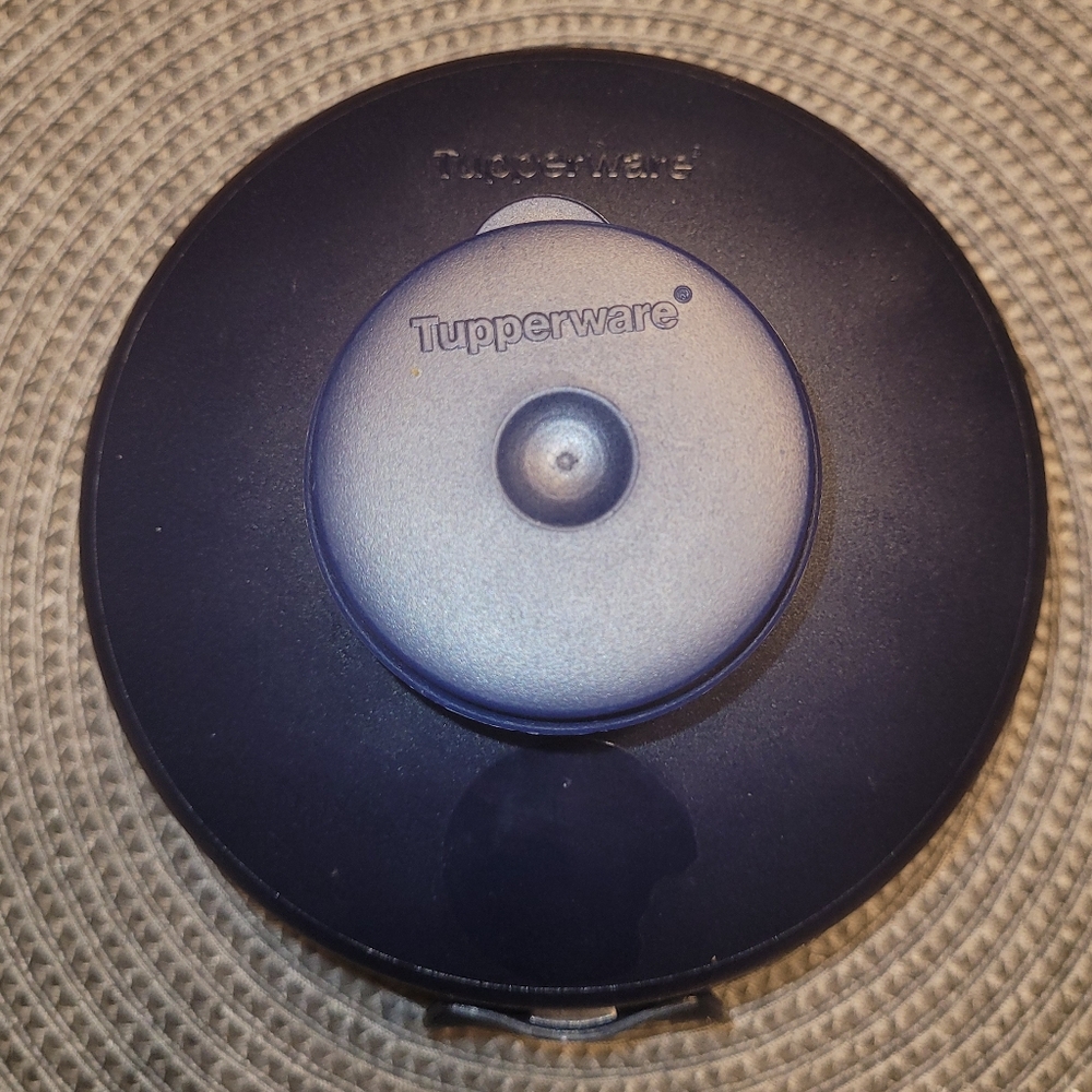 Tupperware Bagel Keeper Round Sandwich Salad Lunch Box Container Smidget BLUE